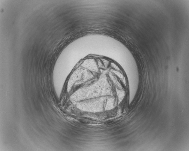 X0000052640272200507292313