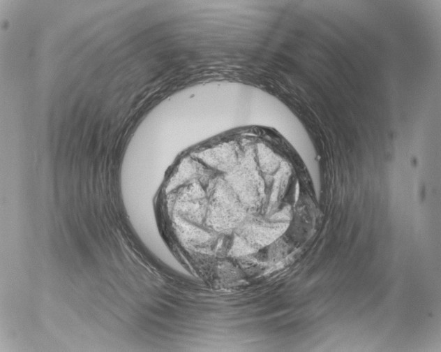 X0000052640276200507292313