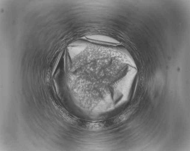 X0000052640277200507292313