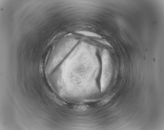 X0000052640282200507292313