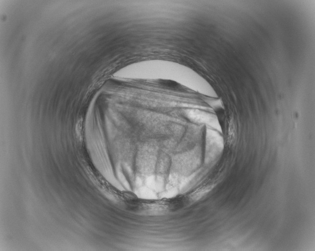 X0000052640286200507292313