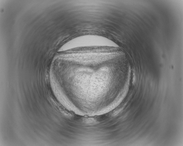 X0000052640287200507292313