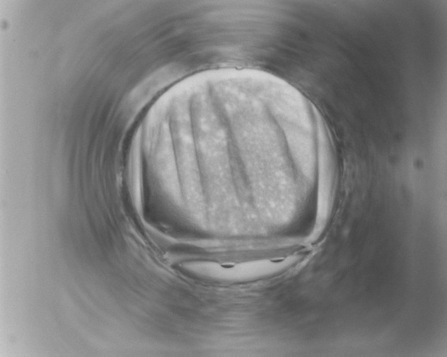 X0000052640290200507292312
