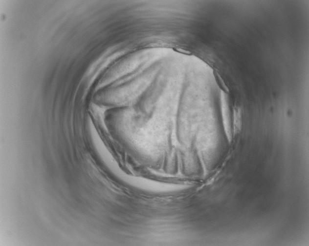 X0000052640291200507292312