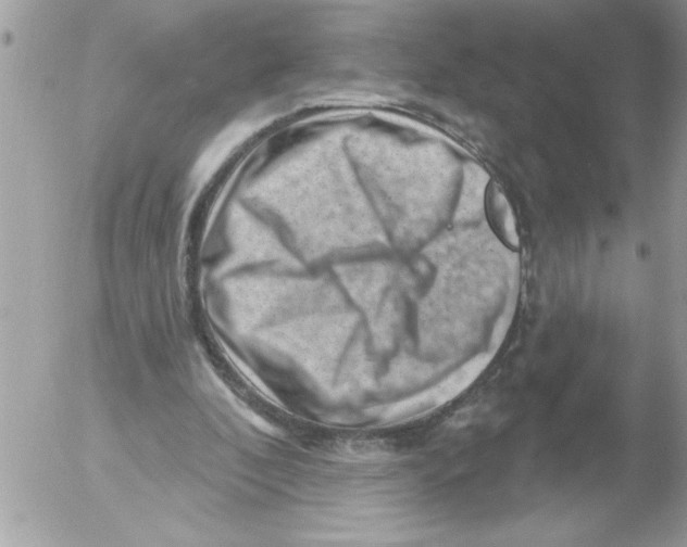 X0000052640296200507292312