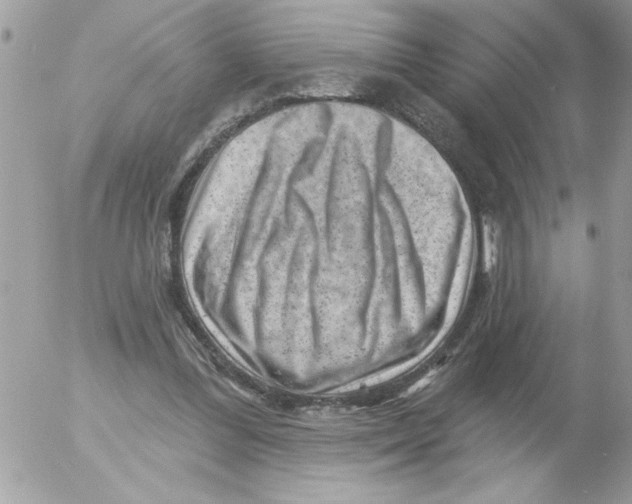 X0000052640300200507292312