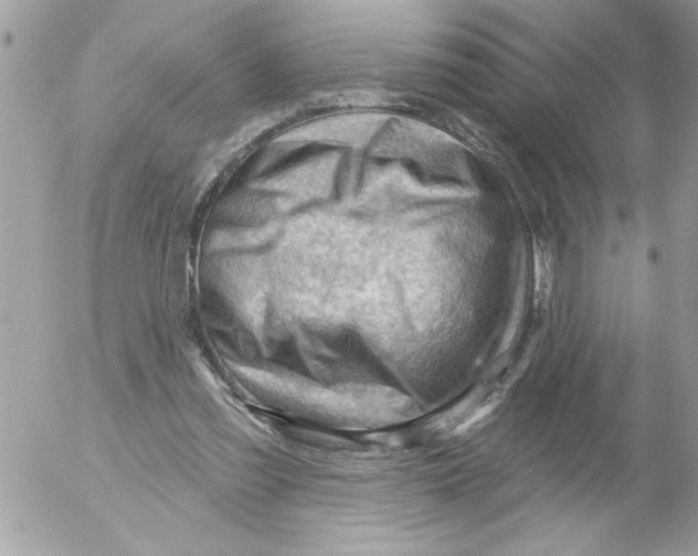 X0000052640301200507292312