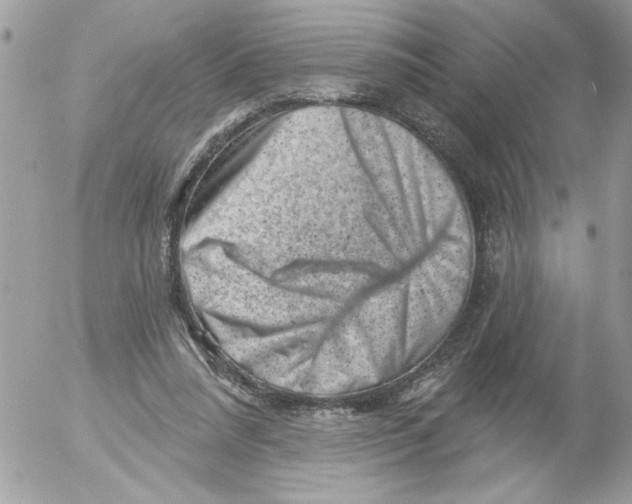 X0000052640304200507292312