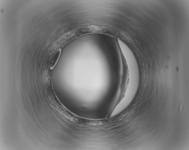 X0000052640317200507292312
