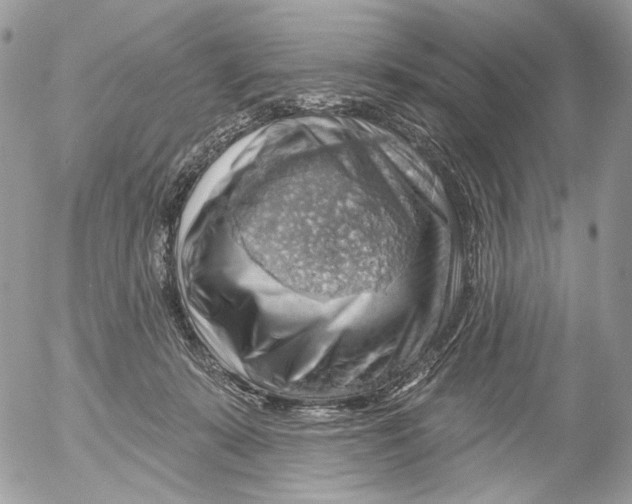 X0000052640319200507292312