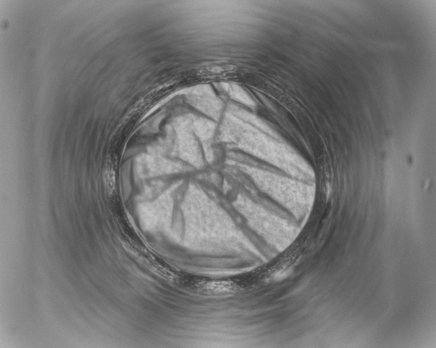 X0000052640324200507292312