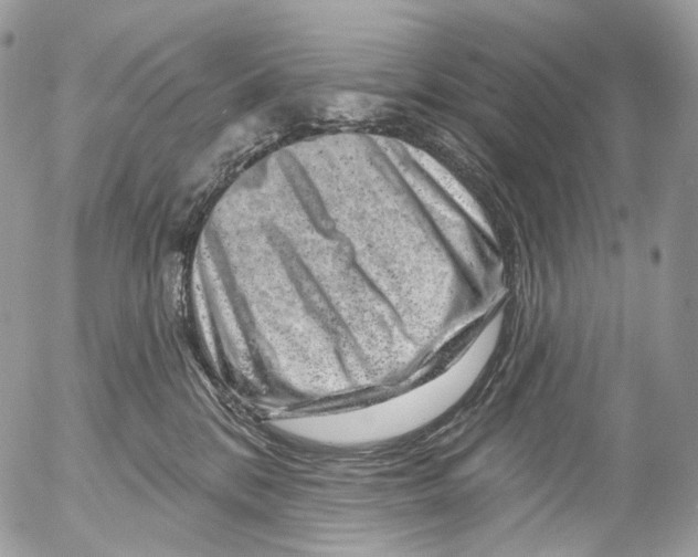X0000052640328200507292312