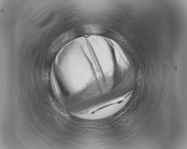 X0000052640330200507292312