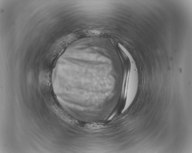 X0000052640331200507292312