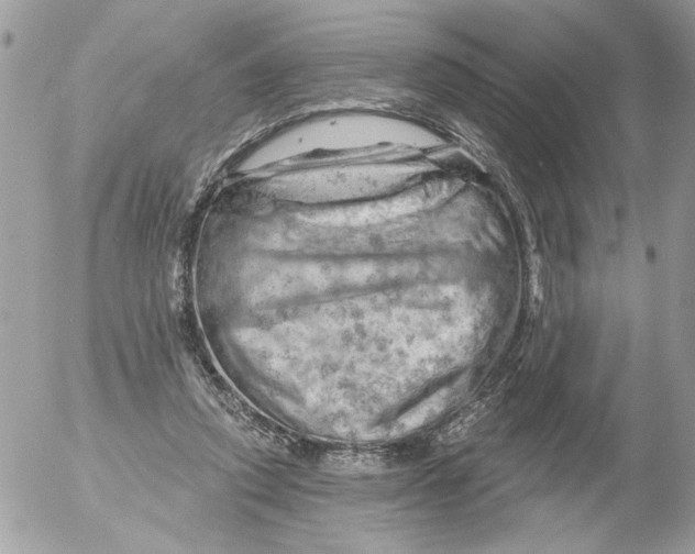 X0000052640354200507292311