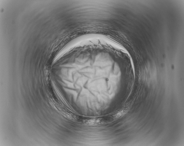 X0000052640366200507292311