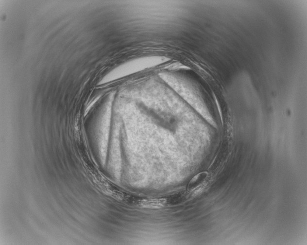 X0000052640373200507292311
