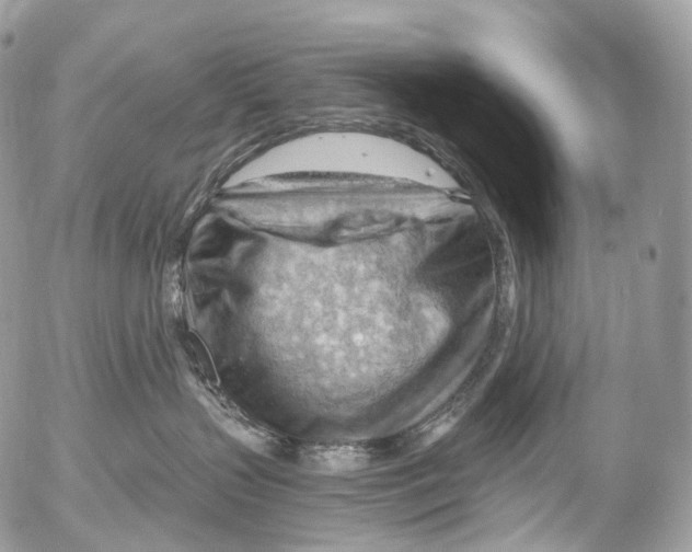 X0000052640383200507292311
