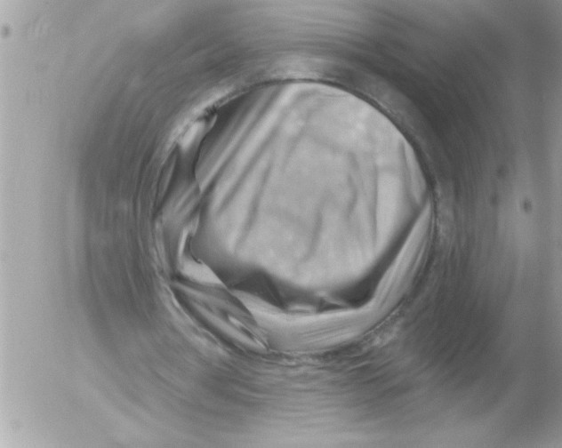 X0000052640386200507292311