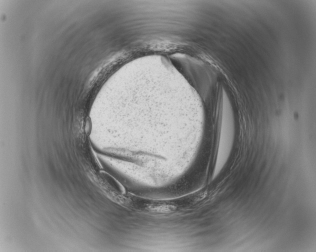 X0000052640407200507292310