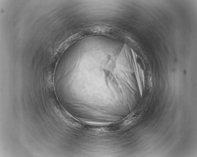 X0000052640411200507292310