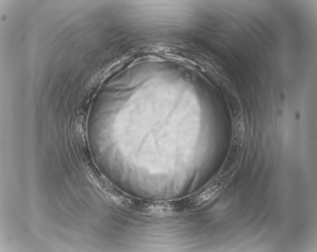 X0000052640415200507292310