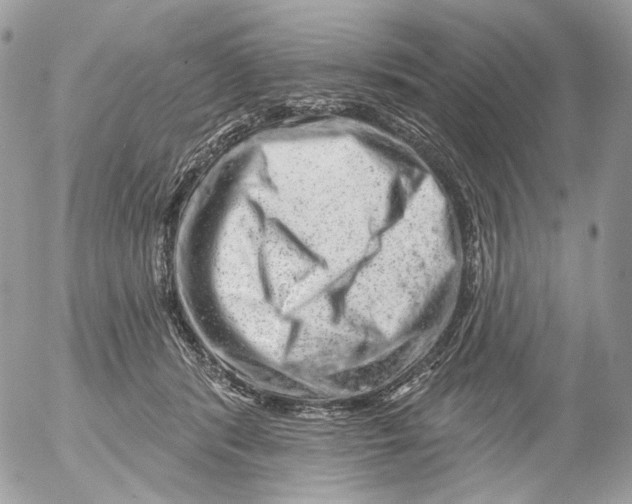 X0000052640416200507292310