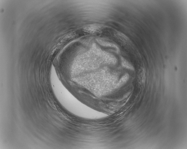 X0000052640420200507292310