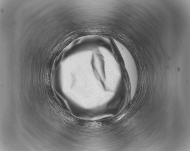 X0000052640421200507292310