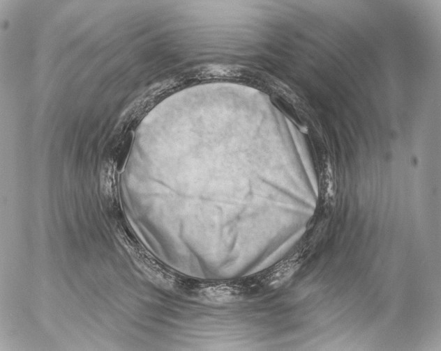X0000052640423200507292310