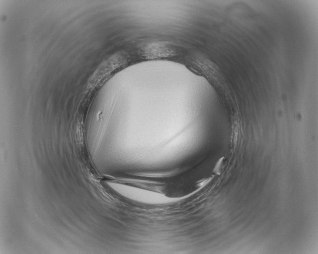 X0000052640426200507292310
