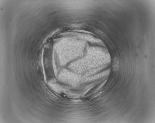 X0000052640428200507292310