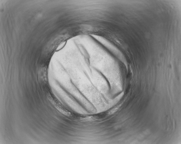 X0000052640430200507292310
