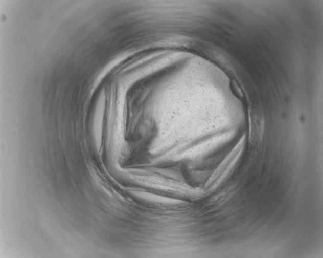 X0000052640435200507292309