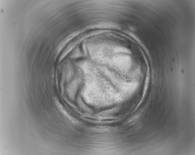 X0000052640437200507292309