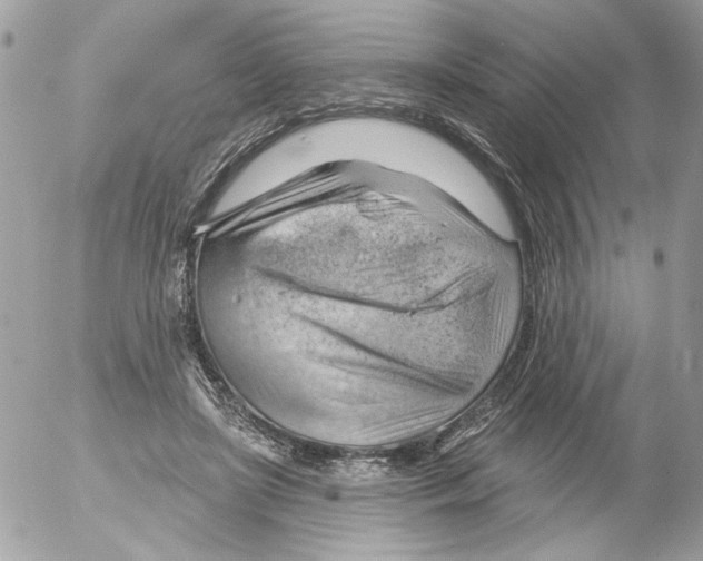 X0000052640451200507292309