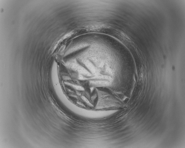 X0000052640452200507292309