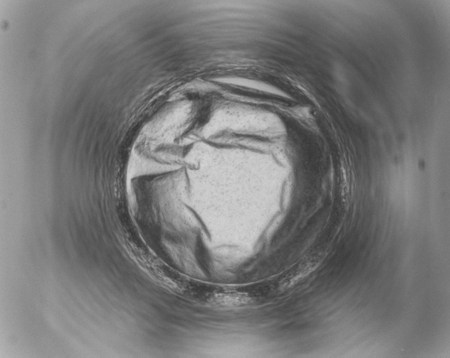 X0000052640455200507292309