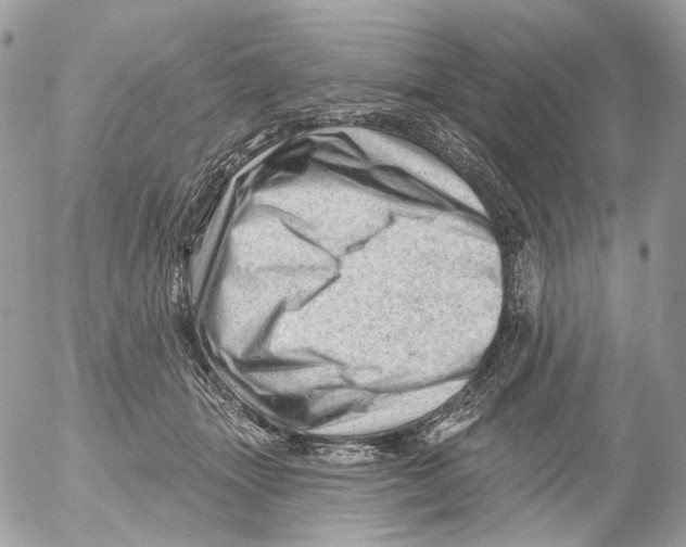 X0000052640463200507292310