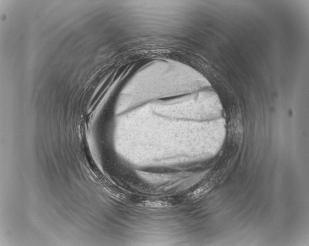 X0000052640464200507292310