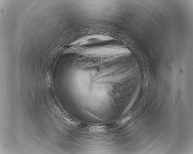 X0000052640465200507292310