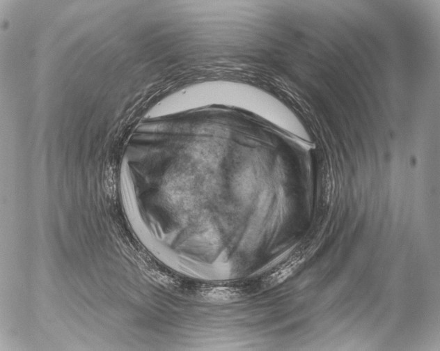 X0000052640467200507292310