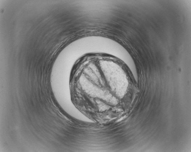 X0000052640474200507292310
