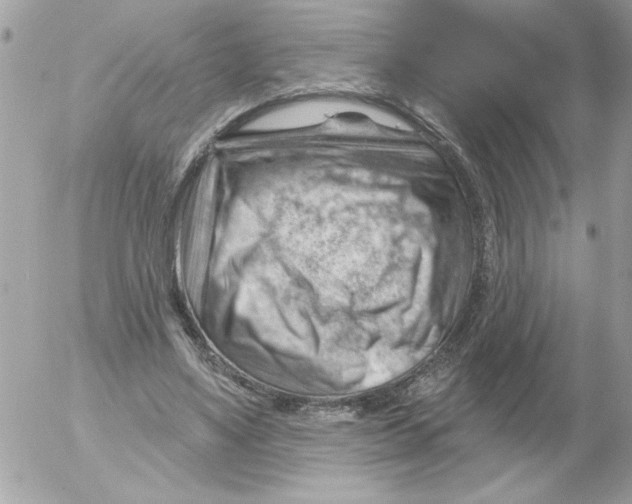 X0000052640491200507292309