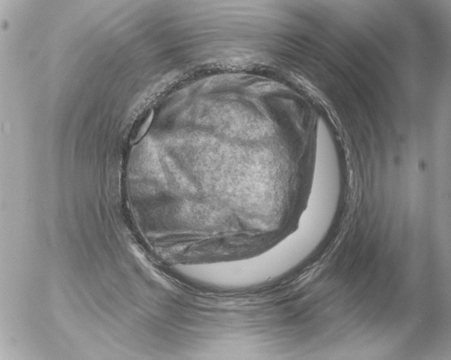 X0000052640493200507292309