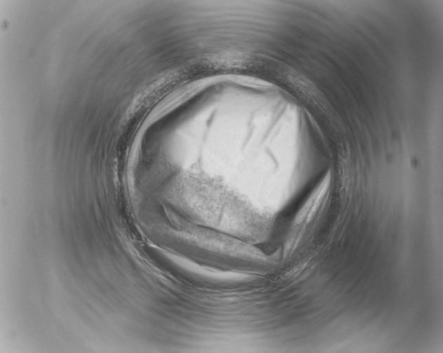 X0000052640494200507292309