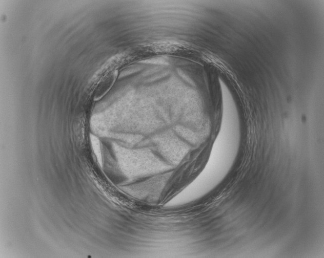 X0000052640501200507292309