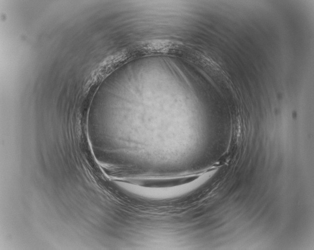 X0000052640504200507292309