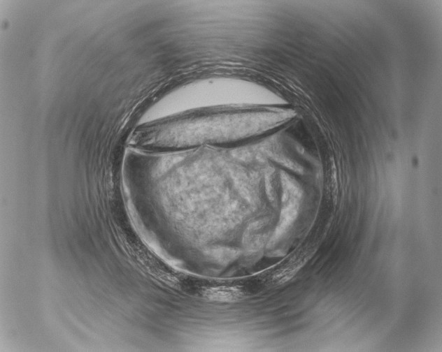 X0000052640508200507292309
