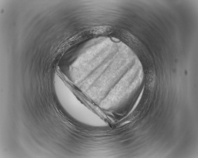 X0000052640510200507292309